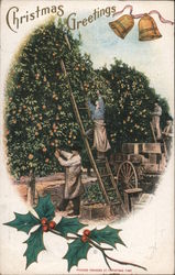 Christmas Greetings - People Picking Oranges Postcard