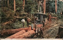 Logging with Donkey Engine Postcard