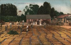 Stock #754853 Thumbnail