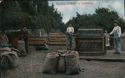 Stock #754859 Thumbnail