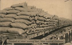 Train Load of Wheat Awaiting Boat Postcard