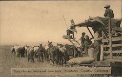Thirty-horse combined harvester, Monterey County Postcard