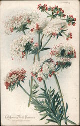 Stock #754870 Thumbnail