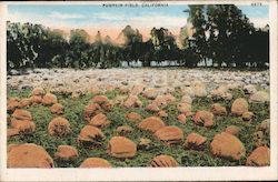 Stock #754879 Thumbnail