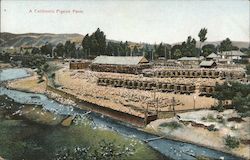 A California Pigeon Farm Postcard