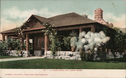 A California Log Cabin Home Postcard