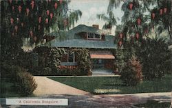 A California Bungalow San Diego Building Co. Postcard