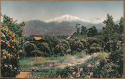 So. California in Winter Postcard