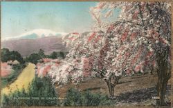 Stock #754942 Thumbnail