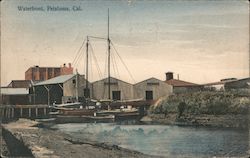Waterfront Petaluma, CA Postcard Postcard Postcard