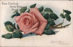 Rose Carnival May 4-5-6 1911 California Roses Bride's Maid Postcard