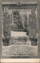 A Burbank Flower Garden Postcard