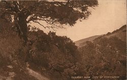 Fairmont Park. city of Visitacion Postcard
