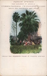 Paraiso Springs - The Carlsbad of America Postcard
