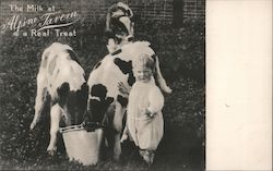 The Milk at Alpine Tavern is a Real Treat Postcard