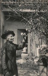 Senorita Bonfacio in the Sherman Rose Tea Garden Postcard