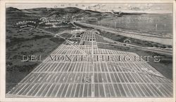 Del Monte Heights Postcard