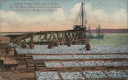 A Small Portion of the Day's Catch for Del Monte Brand California Sardines Pacific Fish Co. Postcard