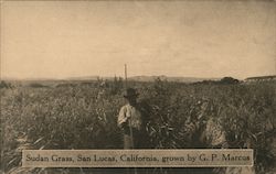 Stock #755543 Thumbnail