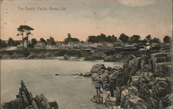 The Beach Pacific Grove, CA Postcard Postcard Postcard