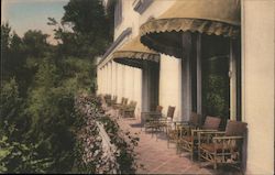 Del Monte Lodge Veranda Postcard