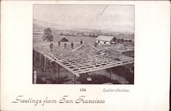 Greetings from San Francisco California Postcard Postcard Postcard