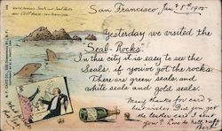 World Famous Seals and Seal Rocks near Cliff House San Francisco, CA Postcard Postcard Postcard