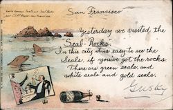 World Famous Seals and Seal Rocks near Cliff House San Francisco, CA Postcard Postcard Postcard