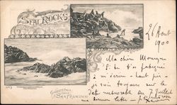 Greetings from San Francisco - Seal Rocks Postcard