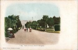 Palm Avenue, Sutro's Heights Postcard