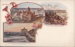Cliff House and Sea Lions Postcard