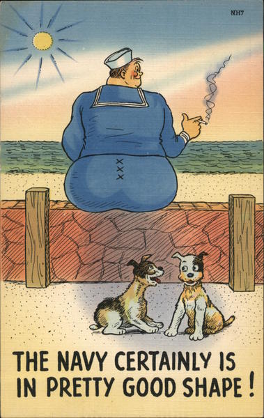 The Navy Certainly is in Good Shape