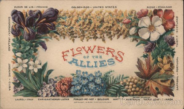 Flowers of the Allies World War I