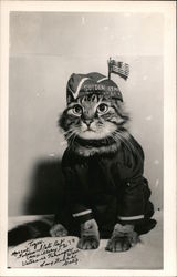 Cat Golden State Park Mascot VFW Long Beach, CA Military Postcard Postcard Postcard