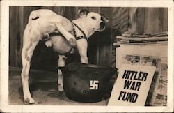 A Dog Lifting his Leg and Peeing in a Nazi Helmet Postcard