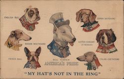 America's Pride - American Breed Dogs Postcard