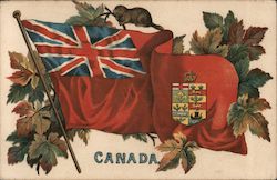 Dominion of Canada Postcard