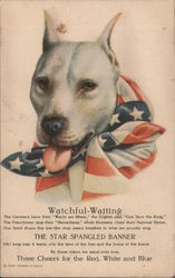 White American Bulldog Wearing a Flag Scarf Postcard