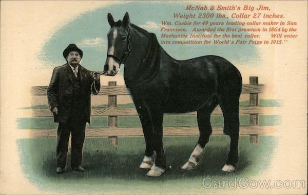 McNab & Smith's Big Jim 1915 Panama-Pacific Exposition