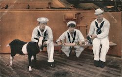 Mascots on Board United States Warship Great White Fleet Postcard Postcard Postcard