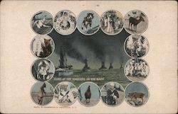Some of the Mascots of the Navy Postcard