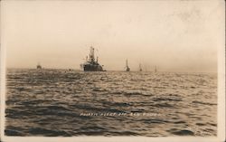 Pacific Fleet, Off San Pedro Postcard
