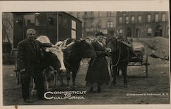 Walkers Connecticut to California Postcard