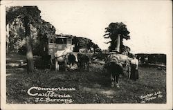 Walkers Connecticut to California 1915 Panama-Pacific Exposition Zarcher Lab Postcard Postcard Postcard
