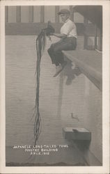 Japanese long tailed fowl. Poultry Building Postcard