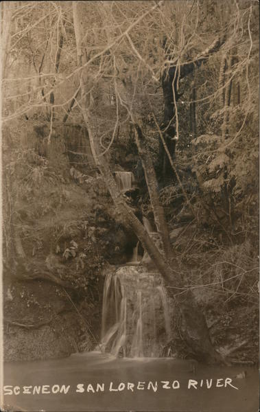 Scene on San Lorenzo River Santa Cruz California
