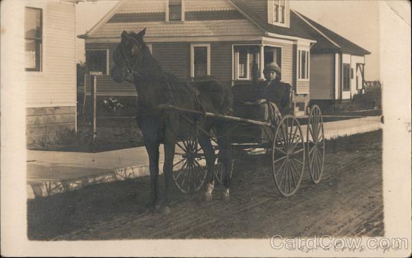 A Woman Sitting in a Horse Drawn Carriage Santa Cruz California