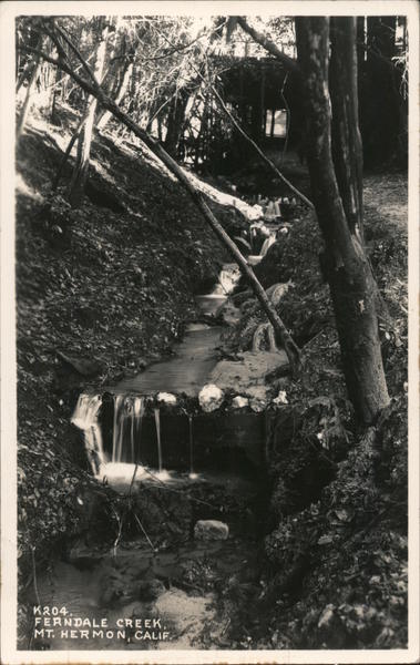 View of Ferndale Creek Mount Hermon California