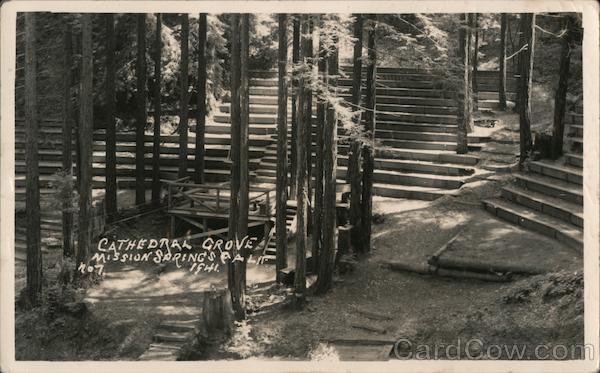Cathedral Grove,Mission Springs Camp California