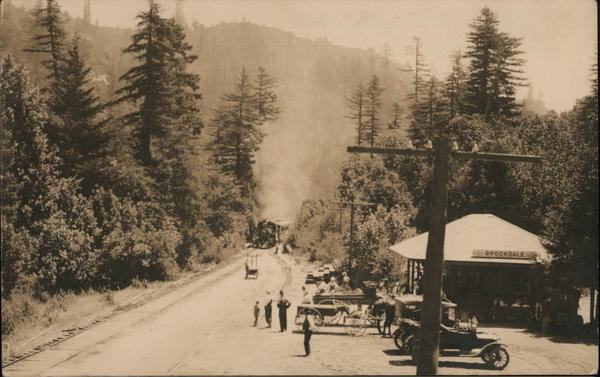 Train Arriving at Brookdale Station California